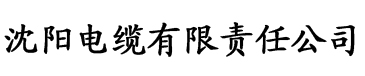 亚洲综合av在线一区二区三区电缆厂logo